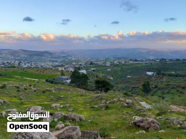 فرصة استثمارية مميزه في جرش-ميسر ذهبون للبيع دنم و700 أرض مميزة في واحدة من أرقى مناطق جرش