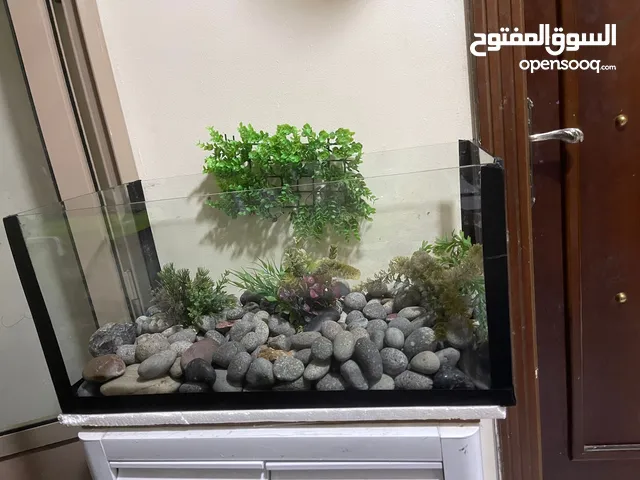 Fish tank with stand and bubble stones
