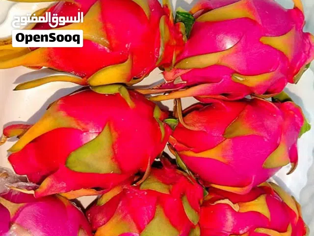 >>  الان موعد.زراعة الدراغن فروت   شتلات دراغن فروت (فاكهة التنين)  بأكياس