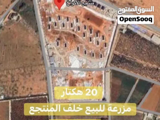 مزرعة للبيع في سيدي فرج خلف منتجع الأكواخ بالضبط