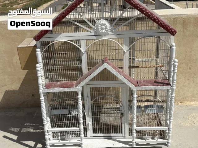 مطير عصافير او ببغاء