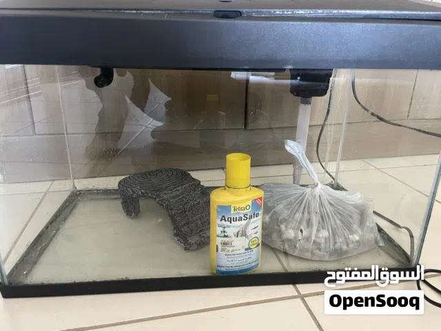 aquarium tank