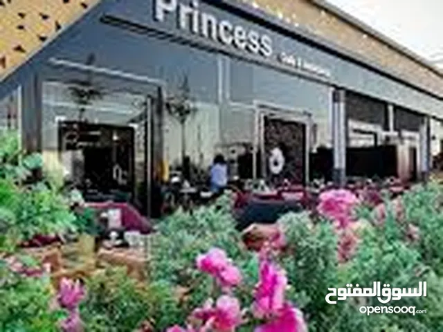 مطلوب شريك ممول بقيمة 3 آلاف بارباح توزع شهريا للشريك.