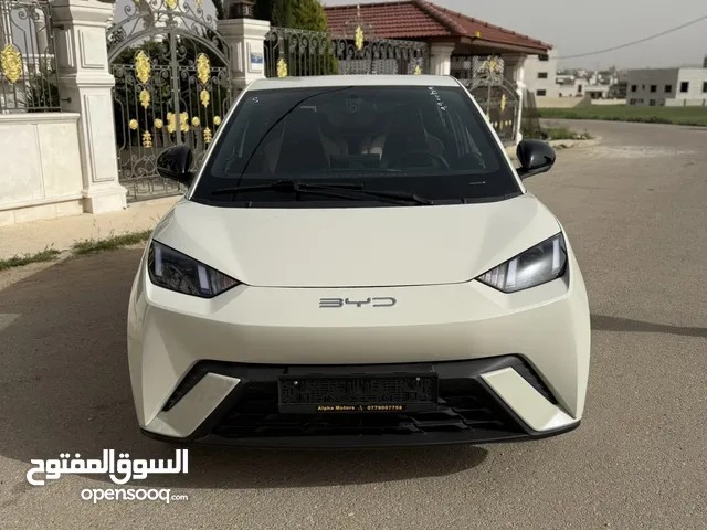 BYD SEAGULL 2023 305 اقساط بدفعه 1700 دينار شامل المصاريف لونين بيج وفسفوري فحص كامل كفوله سنتين