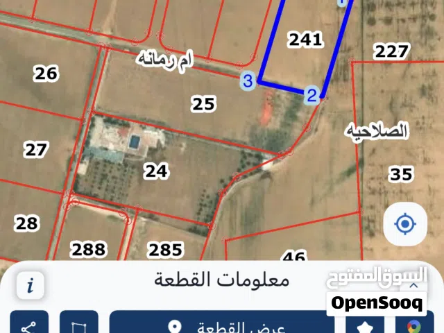 قطعة ارض ام رمانة بسعر مغري جداً