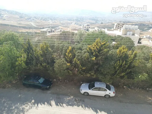 ارض مميزه للبيع خلف قصر الاميره بسمه