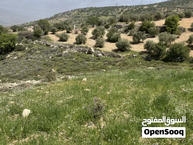 Farm Land for Sale in Salt A'llan
