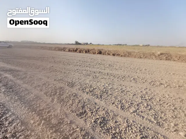 Farm Land for Sale in Diyala Baqubah
