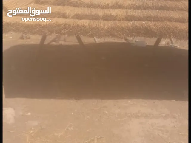 كراسا ترونزات أي حجا مرحبا