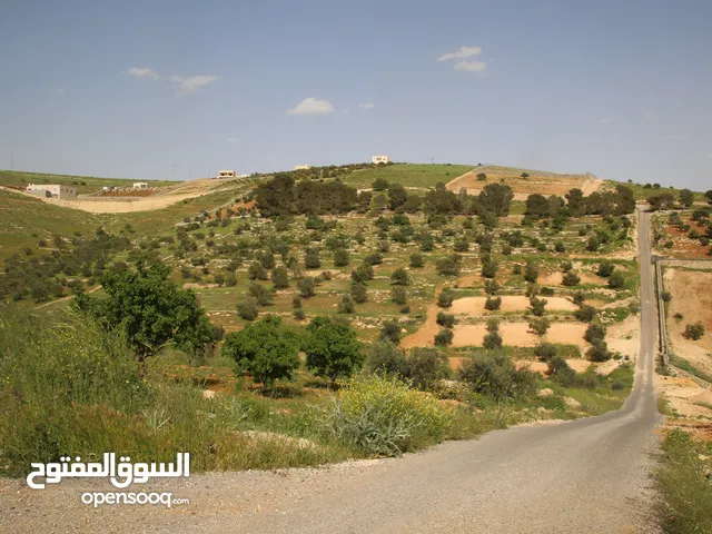 Farm Land for Sale in Amman Birayn