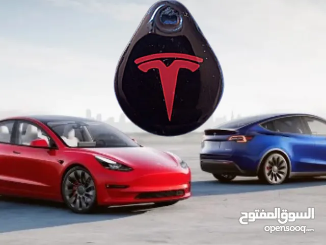 ميدالية مفتاح تسلا ( حصريا )
