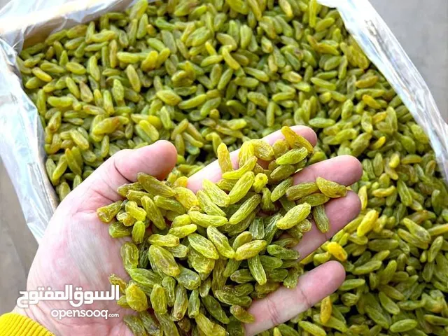 Long Green Kashmari Raisins – Export to UAEزبيب كشمري أخضر طويل – التصدير إلى الإمارات