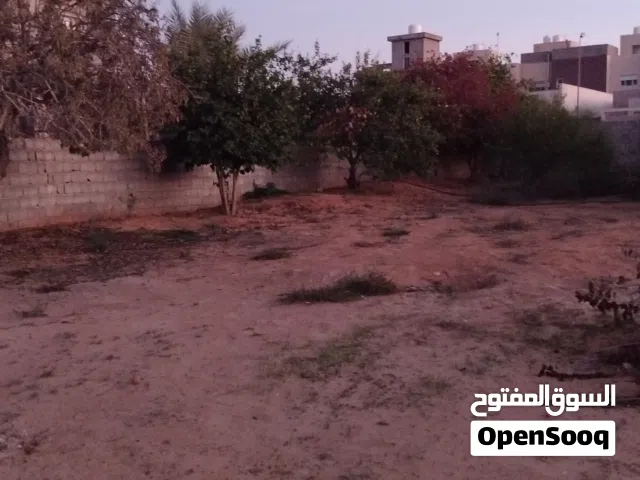 Mixed Use Land for Sale in Tripoli Ain Zara