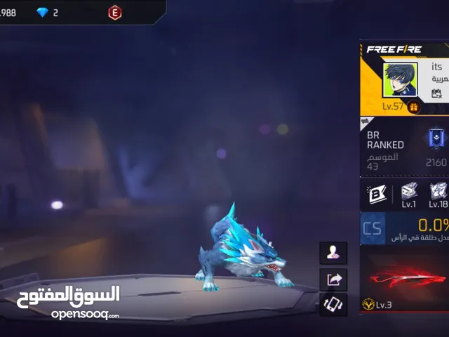 Free Fire Accounts and Characters for Sale in Amman