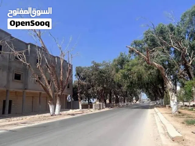 2300 متر شارع الشجر عالرئيسي على شارعين