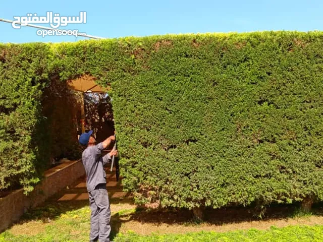 خدمات بستنة وتنسيق حداىق