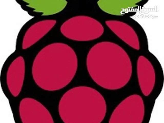 Raspberry Pi 3 & 4