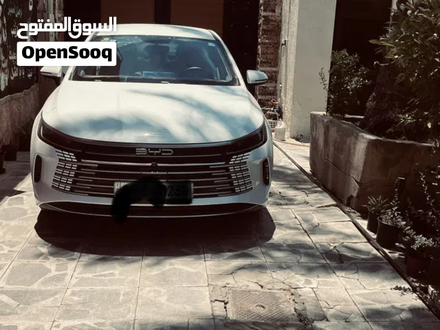 2025 BYD Destroyer 05