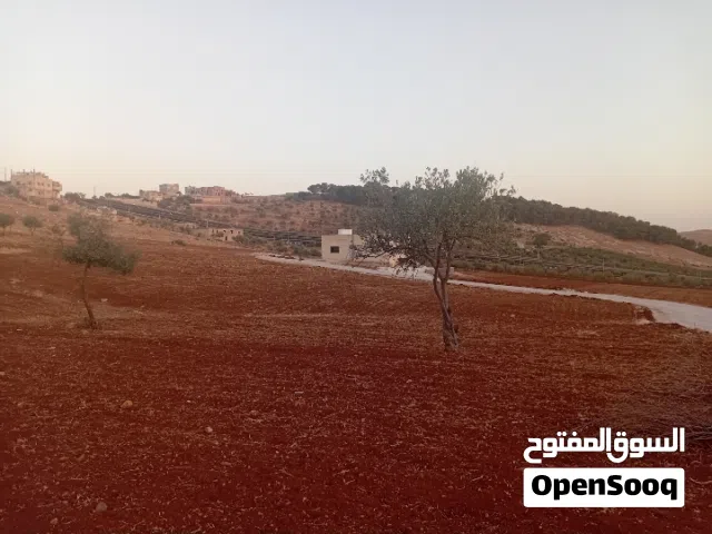 Residential Land for Sale in Madaba Al-Faisaliyyah