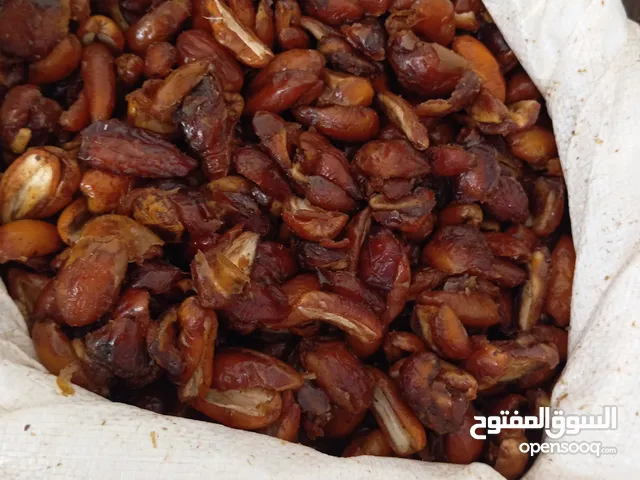 تمر بكراري متاع روب ويمشي برسيل عجين