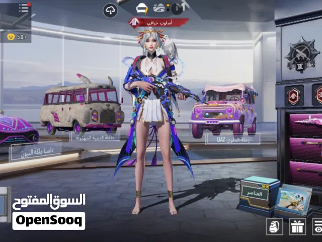 Pubg Accounts and Characters for Sale in Irbid