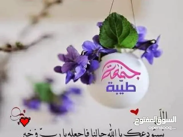 مواد بناء حديد + كانات