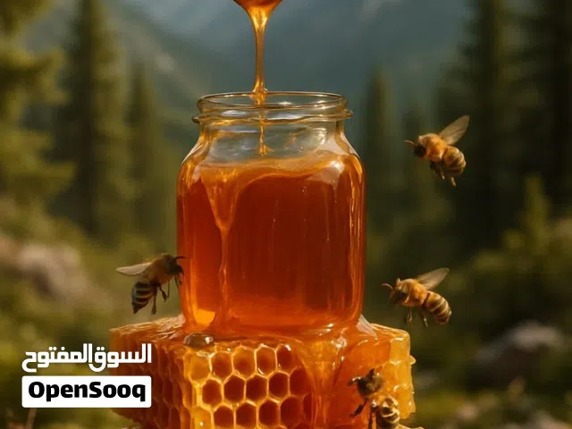 Olivea Brand عسل جبلي طبيعي    هەنگوینی چیای ڕەسەن و سروشتی