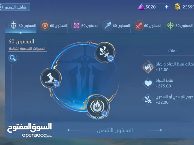 Accounts - Others Accounts and Characters for Sale in Amman