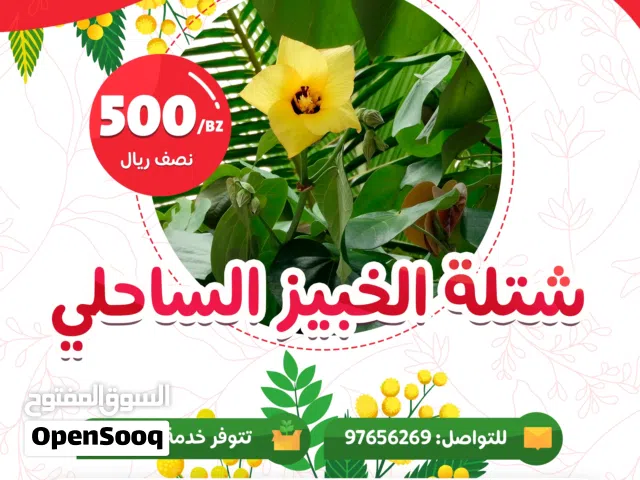 شتلات وأشجار الزينة من مشتل الأرياف أسعار منافسة الأفضل في السوق  المعارف نرسری سے پودے اور آرائشی