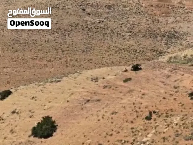 Farm Land for Sale in Salt Al Subeihi