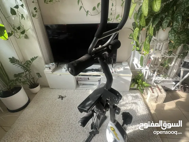 Multifunctional foldable exercise Bike