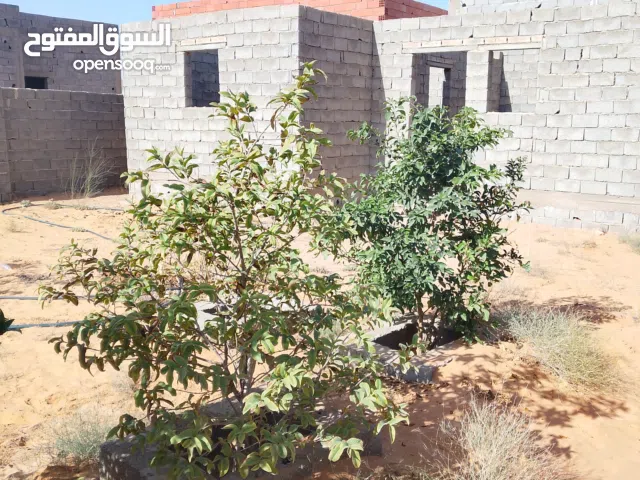 Residential Land for Sale in Tripoli Wadi Al-Rabi