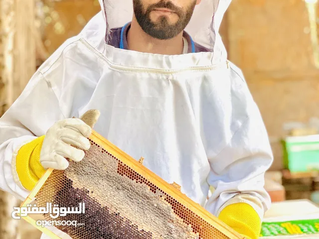 عسل سدر طبيعي بالذمه