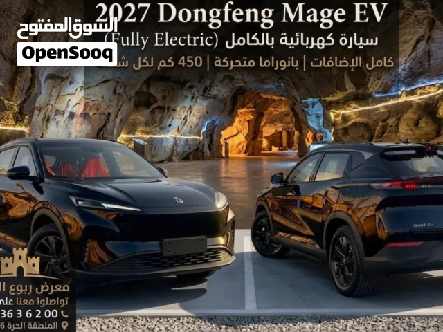 2027 دونج فينج اخرى