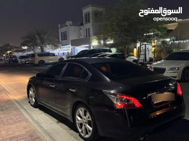 للبيع سيارا مكسيما نظيفة جدا