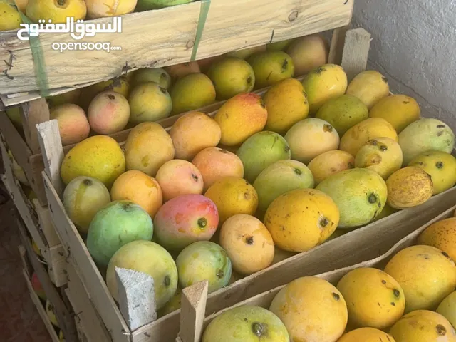 مانجو عماني للبيع