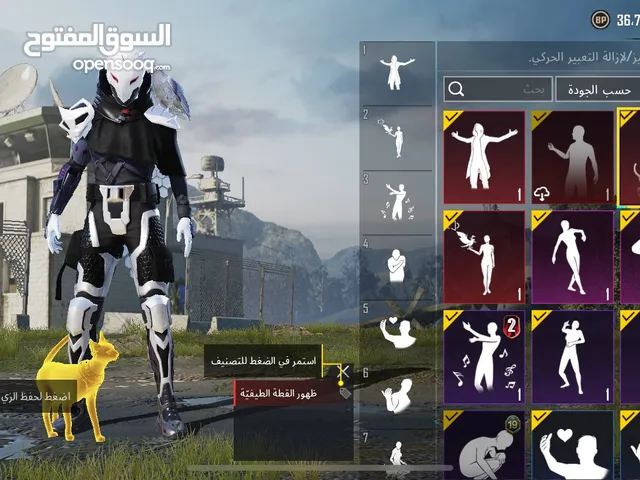 Pubg Accounts and Characters for Sale in Amman