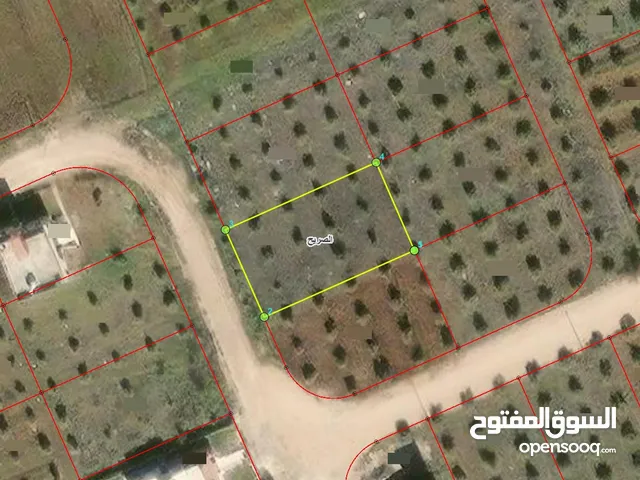 Residential Land for Sale in Irbid Al Sareeh