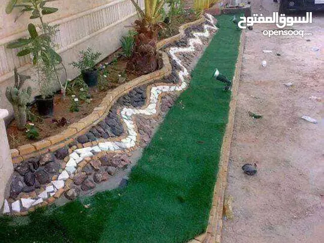 مشتل زهره القصر