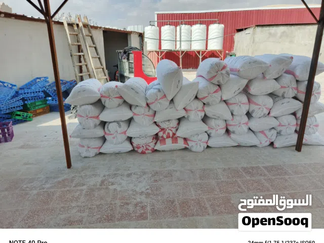 يوجد خبز ناشف ونظيف في زرقاء الهاشمية