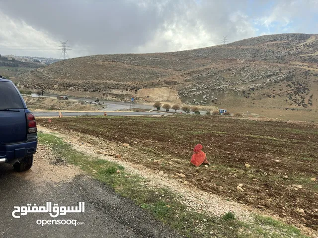 Residential Land for Sale in Zarqa Um Rummanah