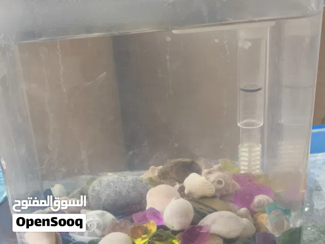 حوض ذكي صيني بجي منو وفيه اضائه والفلتر