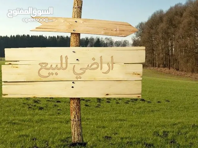 نمره ارض للبيع مساحة 550 متر حدود اراضي بيت وزن