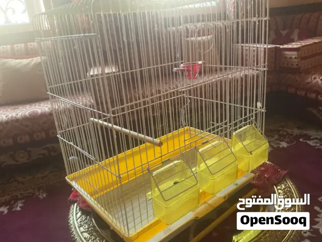 قفص لي الطيور لي البيع قابل لي التفاوض
