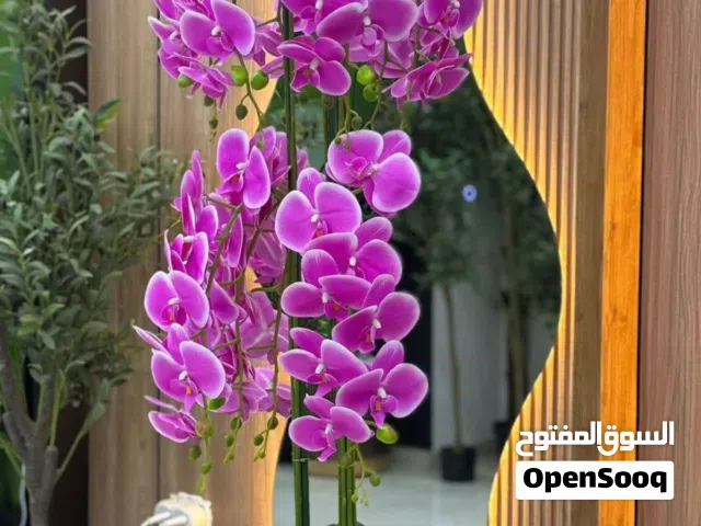 ورود وأزهار لحدائق مميزة وفخمة..ولمنازل بلمسة عصرية