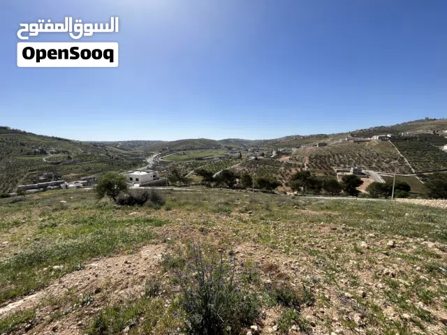 Residential Land for Sale in Zarqa Birayn