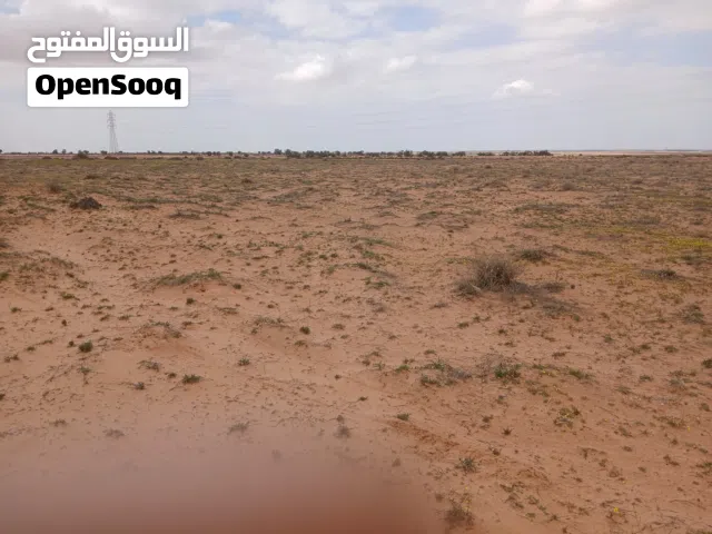 Farm Land for Rent in Misrata Other