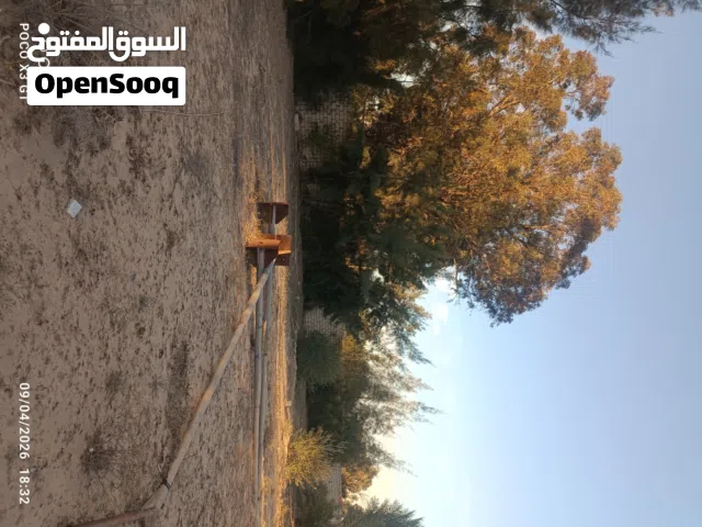 مزرعه للبيع