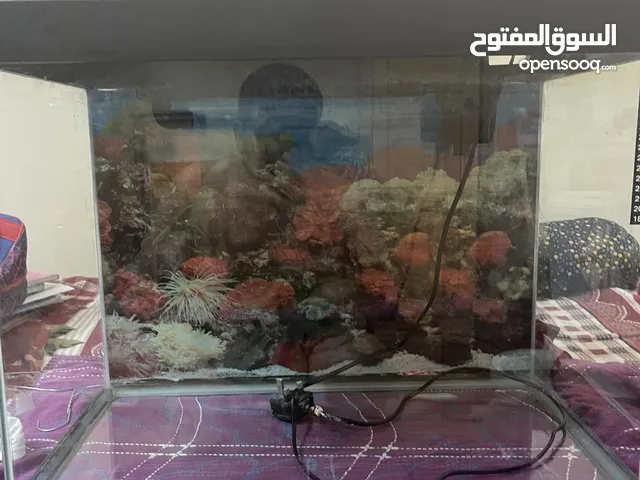 Used aquarium for sale