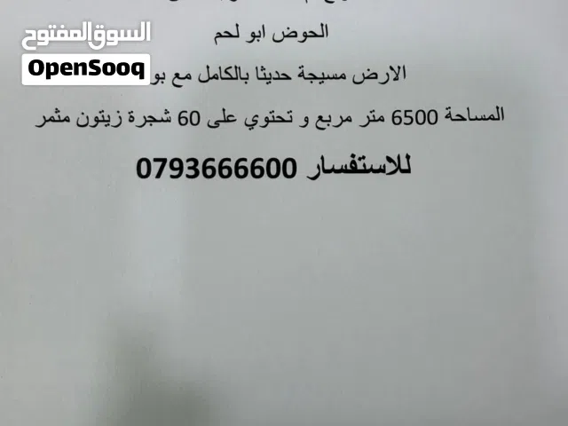 Farm Land for Sale in Amman Umm Al-Amad